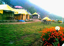 Delh- to-Dhanaulti